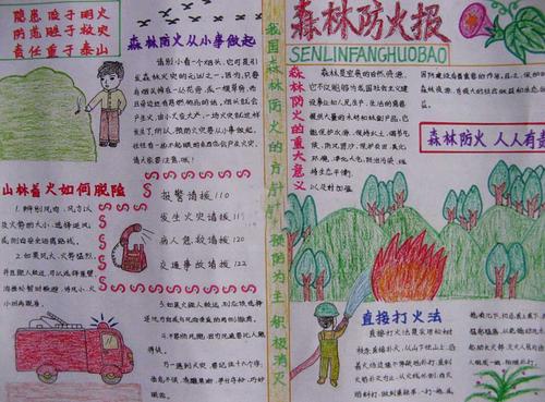保护森林_400字