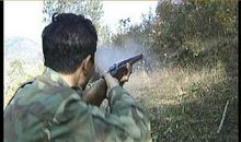 野猪不能打哇_450字