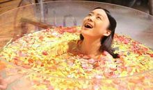 一场精彩的辩论会_900字