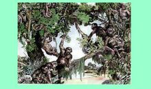 人类能在地球上生存多久_600字