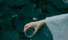 十指要沾阳春水_1000字