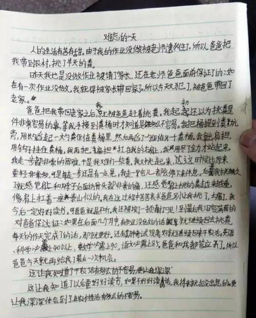 生活告诉我，我需要体验_700字