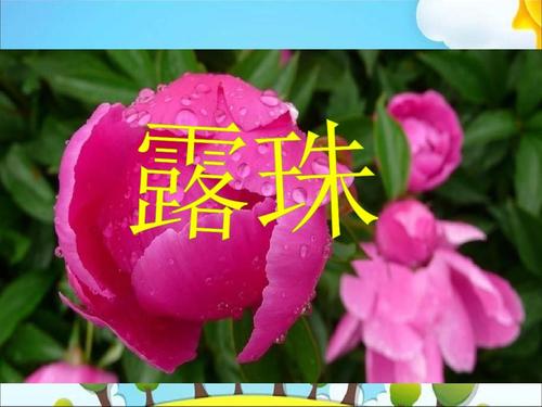 在秘密小屋上露出_1500字