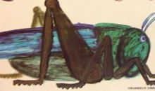 啊，我发现了蚂蚱呼吸的秘密_550字