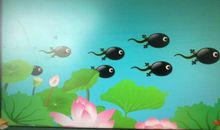 我发现了蝌蚪的秘密_500字