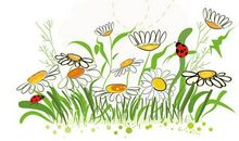 母爱如茉莉芳香四溢_800字