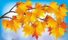 我爱秋天5_450字