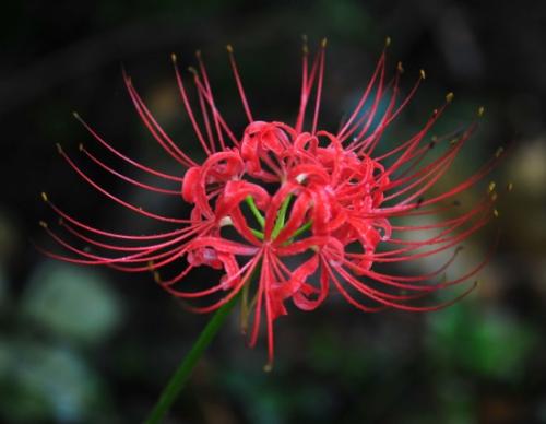 此时,我非常沮丧_550字