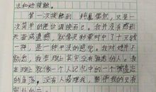 忘记了选择也是一种快乐_600字