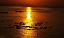 日出的地方_800字