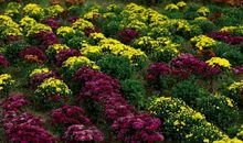 告诉你一个秘密_500字