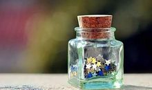 许愿瓶中的秘密_450字