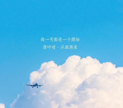 参与和爱_1000字