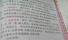 她讲的故事_450字