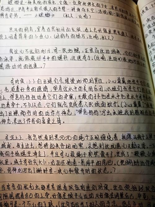 秘密的组成：蜘蛛的秘诀_500字