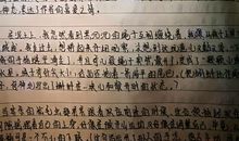 关于秘密的作文：蜘蛛的秘密_500字