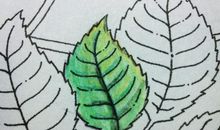 关于秘密的作文：树叶的秘密_900字