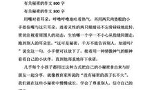 关于秘密的作文：秘密_300字