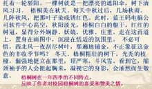 关于秘密的作文：姥姥的秘密盒_250字