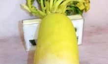 “歪瓜裂枣”也是一种幸福_550字