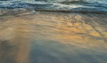 梦想的彼岸_650字