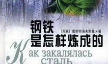 读《钢铁是怎样炼成的》有感——成功者的专利_900字