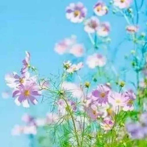 我在本书的海洋中成长_750字