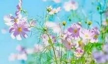 我在书的海洋中成长_750字