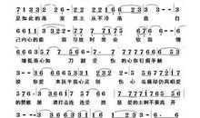怜悯_800字