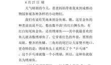 虎 门 公 园_400字