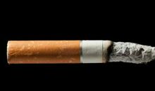 我跟大爸爸谈戒烟_600字