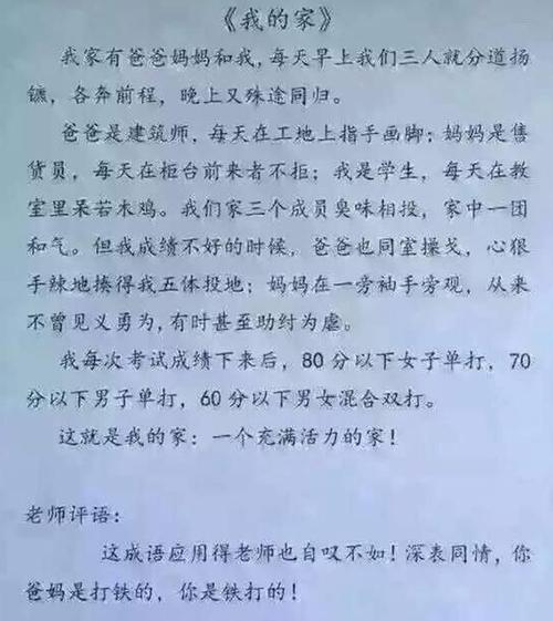 班级记忆总监小学_550字