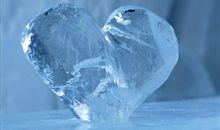 友谊是一棵树_1200字