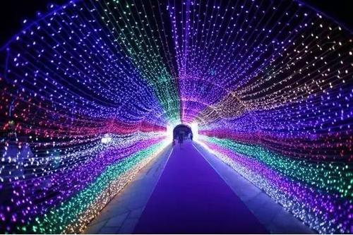 那个星光，我守着你_500字