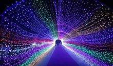 那片星空我为你守护_500字