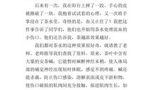 关于秘密的作文：秘密_800字