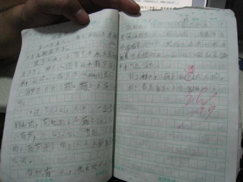 秘密构成：猪笼秘密_650字