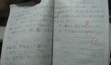 关于秘密的作文：猪笼草的秘密_650字