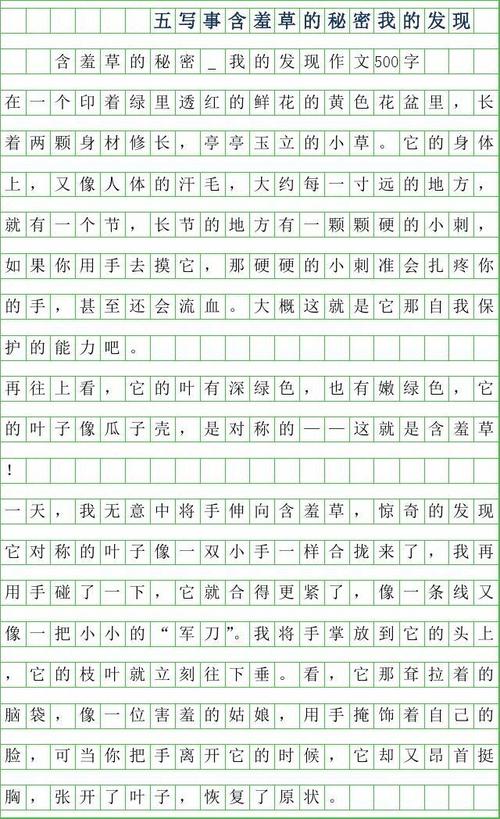 秘密的组成：我心中的秘密_550字