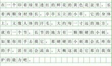 关于秘密的作文：我心中的秘密_550字