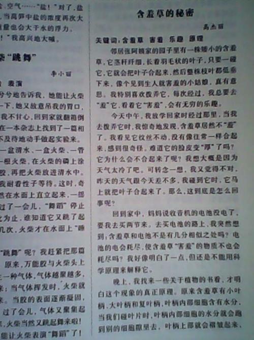秘密构成：雪秘密_800字
