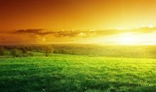 友情的力量_900字