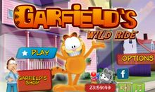 加菲猫减肥记_650字