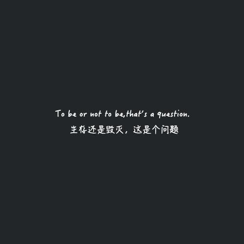生活中的亮点_350字