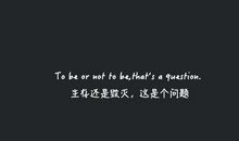 生活中的亮点_350字