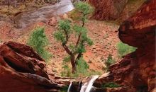 《高山流水》听后感_550字