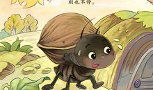 蚂蚁和蟋蟀听后感_450字