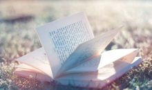 用爱感受阳光_250字