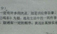 音乐随想录_450字