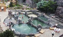 怀念不如向前看_350字